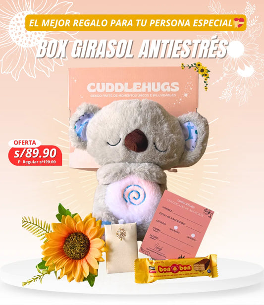 Koala que respira🐨+Anillo de Girasol🌻+Chocolate🍫+Flor de Girasol🌻+Tarjeta de Adopción✨