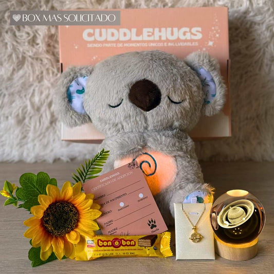 Koala que respira🐨+ Collar Saturno🪐+ Lampará💡+ Chocolate🍫+Flor de Girasol🌻+Tarjeta de Adopción✨