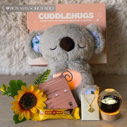 Koala que respira🐨+ Collar Saturno🪐+ Lampará💡+ Chocolate🍫+Flor de Girasol🌻+Tarjeta de Adopción✨