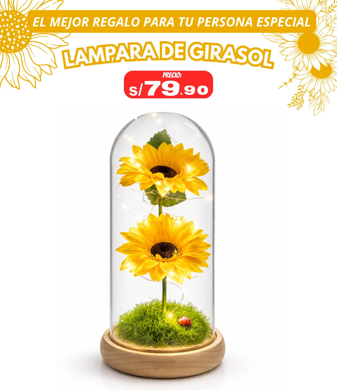 CAPSULA DE GIRASOL DOBLE CON BASE DE MADERA