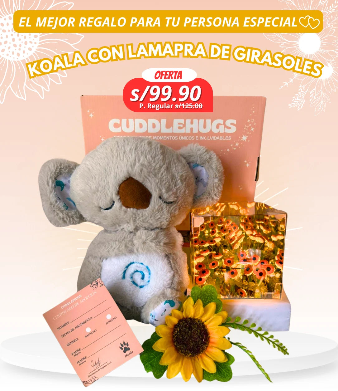 KOALA CON CUBO GIRASOL