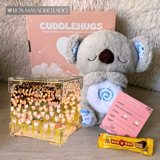 Koala que respira🐨 + Cubo de Tulipanes🌷 + Chocolate 🍫+ Tarjeta de Adopción ✨