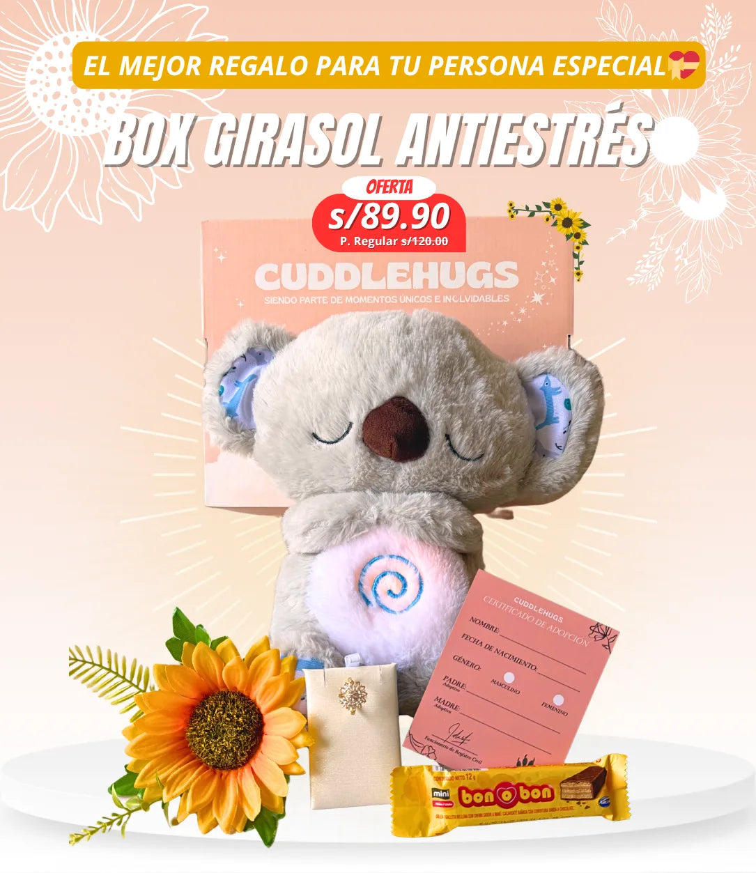BOX KOALA QUE RESPIRA CON ANILLO GIRASOL