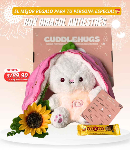 Conejito que respira 🐇+Chocolate🍫+Flor de Girasol🌻+Tarjeta de Adopción✨