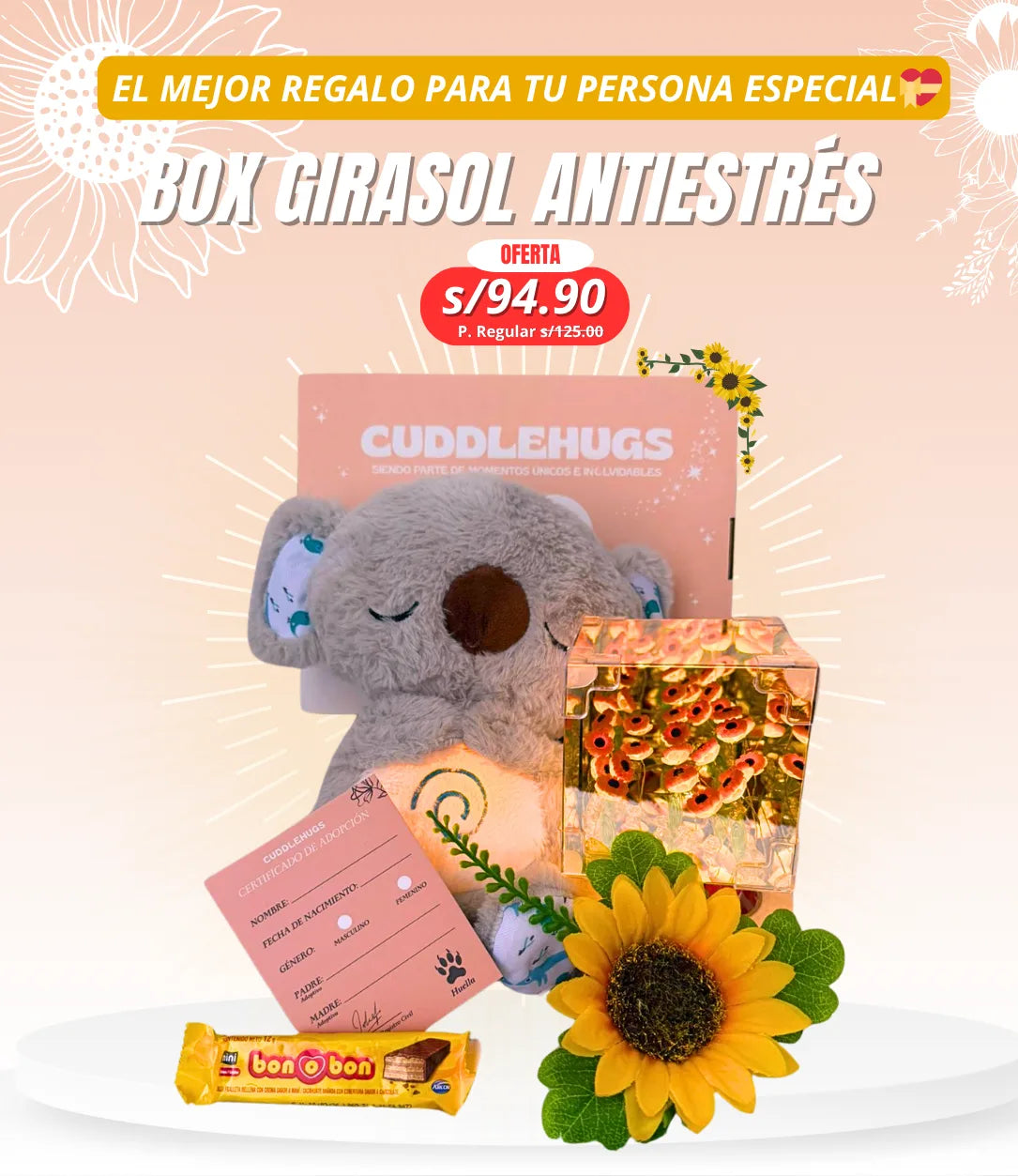 KOALA CON LAMPARA CUBO DE GIRASOLES INFINITOS