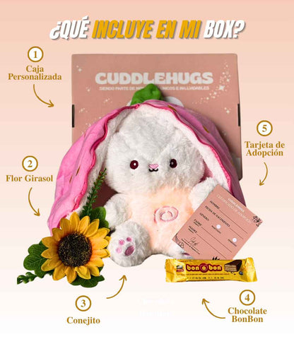 imagenes