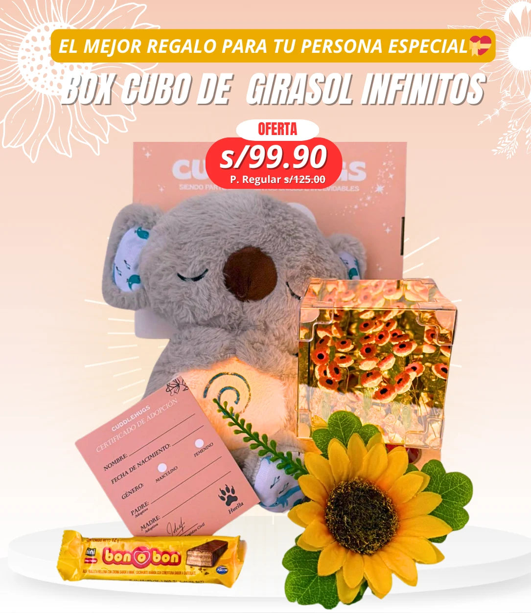 KOALA CON LAMPARA CUBO DE GIRASOLES INFINITOS