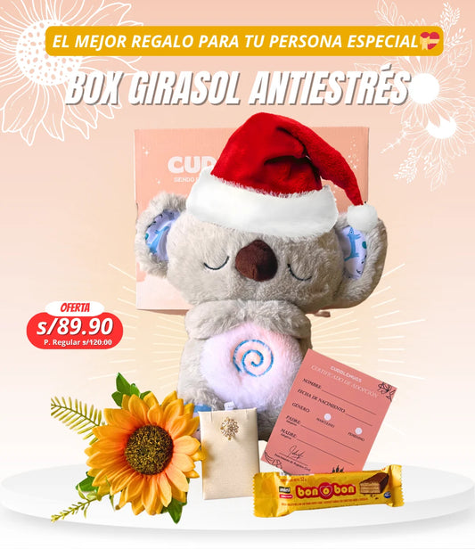 BOX KOALA QUE RESPIRA CON ANILLO GIRASOL