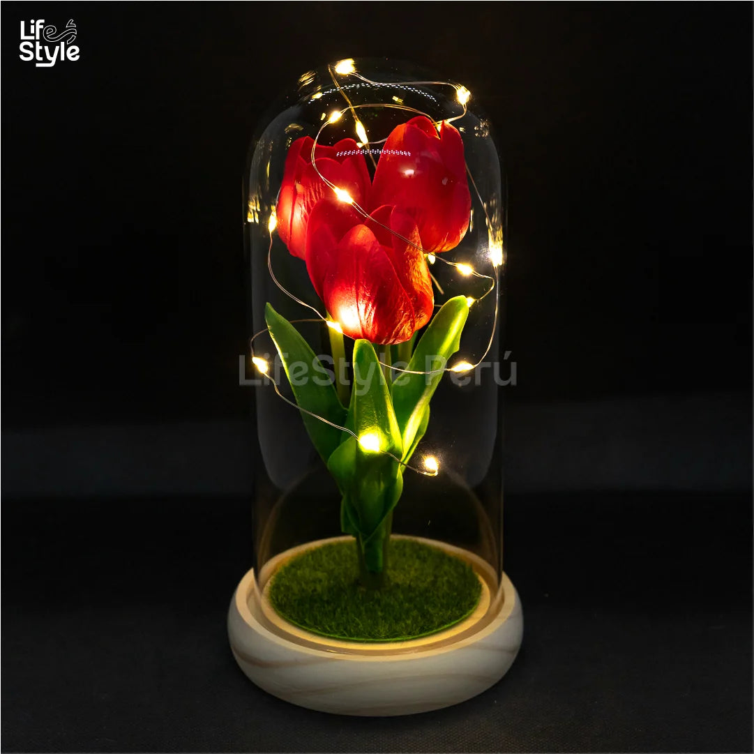 CAPSULA DE TULIPANES